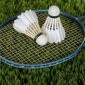 Rekreačný badminton - rakety a košík dostanete v Penzióne U Huberta na požiadanie